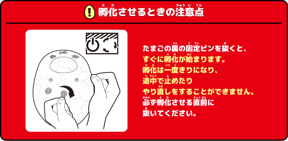 たまごの裏の固定ピンを抜くと、すぐに孵化が始まります。孵化は一度きりになり、途中で止めたりやり直しをすることができません。必ず孵化させる直前に抜いてください。